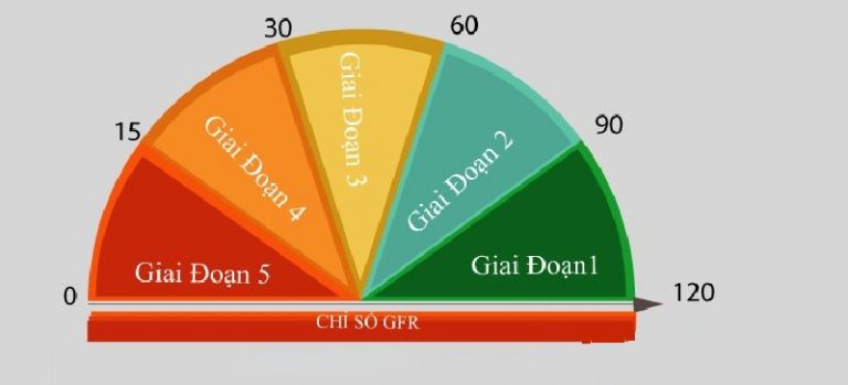 Suy thận có mấy cấp độ Độ mấy thì phải chạy thận INDembassy