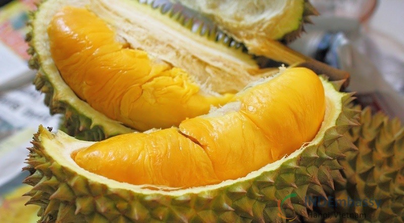 đau dạ dày ăn sầu riêng cần lưu ý gì