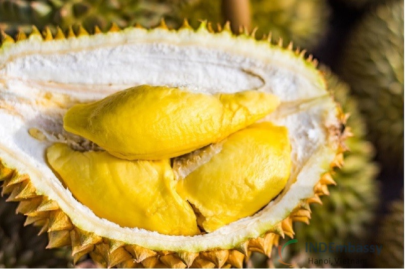 Đau dạ dày có nên ăn sầu riêng không