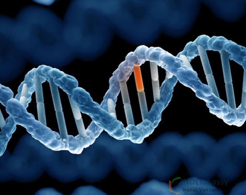 Gen di truyền viêm khớp dạng thấp
